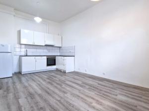 Pronájem bytu 1+1, Litoměřice, Turgeněvova, 35 m2