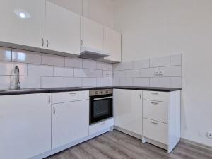 Pronájem bytu 1+1, Litoměřice, Turgeněvova, 35 m2