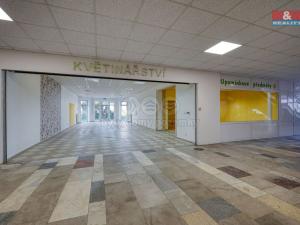 Pronájem obchodního prostoru, Třemošná, Plzeňská, 133 m2