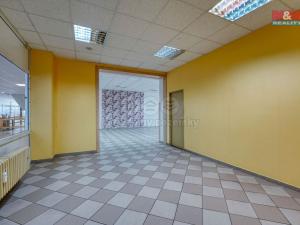 Pronájem obchodního prostoru, Třemošná, Plzeňská, 133 m2