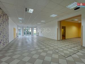 Pronájem obchodního prostoru, Třemošná, Plzeňská, 133 m2