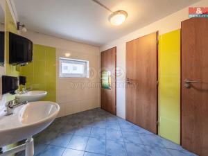 Pronájem skladu, Český Brod, Prokopa Velikého, 400 m2