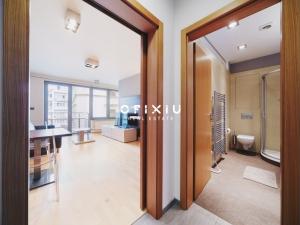 Pronájem bytu 1+kk, Brno - Staré Brno, Kopečná, 39 m2