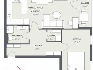 Prodej bytu 2+kk, Chotěšov, Nová, 56 m2