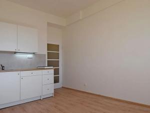 Pronájem bytu 1+kk, Praha - Vinohrady, V Horní Stromce, 24 m2