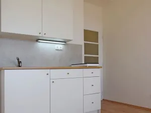 Pronájem bytu 1+kk, Praha - Vinohrady, V Horní Stromce, 24 m2