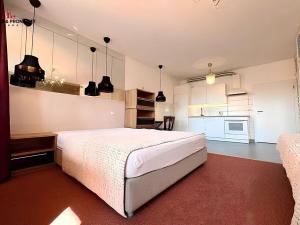 Pronájem bytu 1+kk, Praha - Střížkov, Makedonská, 42 m2