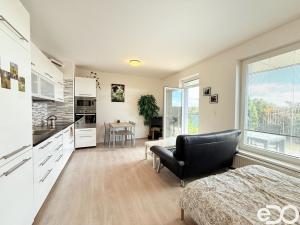Pronájem bytu 1+kk, Mladá Boleslav - Michalovice, 41 m2