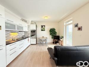 Pronájem bytu 1+kk, Mladá Boleslav - Michalovice, 41 m2