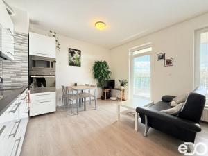 Pronájem bytu 1+kk, Mladá Boleslav - Michalovice, 41 m2