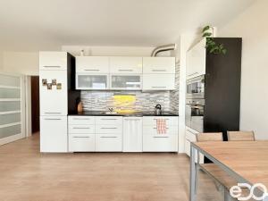 Pronájem bytu 1+kk, Mladá Boleslav - Michalovice, 41 m2