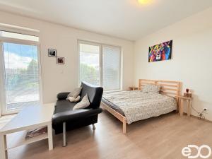 Pronájem bytu 1+kk, Mladá Boleslav - Michalovice, 41 m2