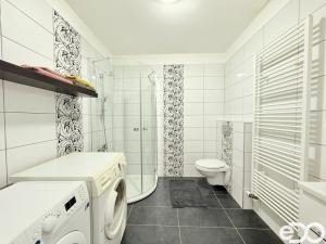 Pronájem bytu 1+kk, Mladá Boleslav - Michalovice, 41 m2