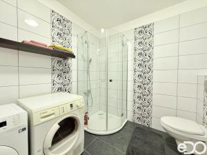 Pronájem bytu 1+kk, Mladá Boleslav - Michalovice, 41 m2