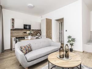 Pronájem bytu 1+kk, Praha - Karlín, Pobřežní, 32 m2
