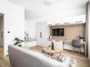 Pronájem bytu 1+kk, Praha - Karlín, Pobřežní, 32 m2