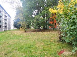 Pronájem bytu 2+kk, Milovice - Mladá, Komenského, 45 m2