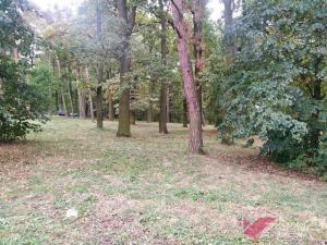 Pronájem bytu 2+kk, Milovice - Mladá, Komenského, 45 m2