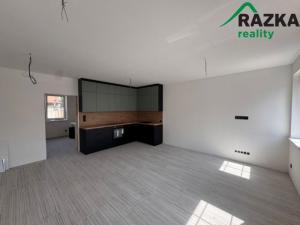 Pronájem bytu 1+kk, Planá, Zámecká, 55 m2