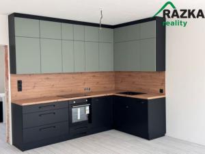 Pronájem bytu 1+kk, Planá, Zámecká, 55 m2