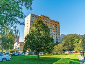 Pronájem bytu 2+kk, Kralupy nad Vltavou, 39 m2