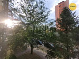 Pronájem bytu 2+1, Ostrava, Svojsíkova, 53 m2