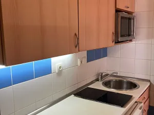 Pronájem bytu 1+1, Praha - Bubeneč, Národní obrany, 33 m2