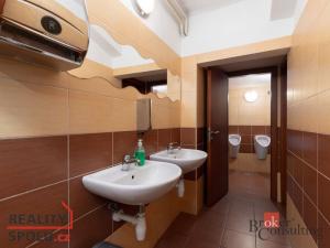 Prodej ubytování, Opava - Kylešovice, Hlavní, 800 m2