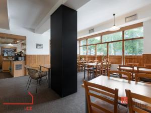 Prodej ubytování, Opava - Kylešovice, Hlavní, 800 m2