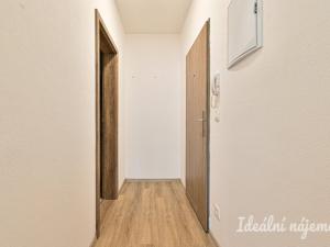 Pronájem bytu 1+kk, Brno, Svitavská, 33 m2