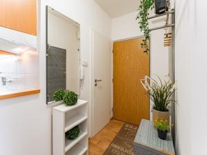 Pronájem bytu 1+1, Šumperk, Čajkovského, 36 m2