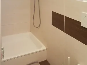 Pronájem bytu 3+kk, Brno, 65 m2