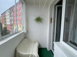 Prodej bytu 3+1, Chomutov, Borová, 60 m2