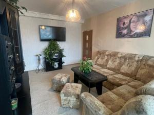 Prodej bytu 3+1, Chomutov, Borová, 60 m2