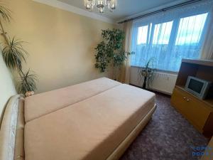Prodej bytu 3+1, Chomutov, Borová, 60 m2