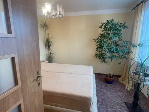 Prodej bytu 3+1, Chomutov, Borová, 60 m2