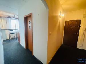 Prodej bytu 3+1, Chomutov, Borová, 60 m2