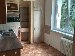 Pronájem bytu 2+1, Plzeň, Brojova, 52 m2
