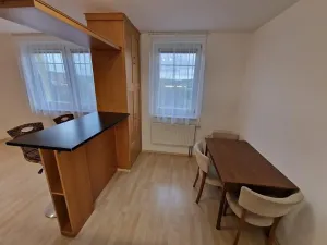 Pronájem bytu 1+kk, Neslovice, Školní, 31 m2