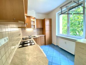 Pronájem bytu 2+1, Tachov, 1. máje, 54 m2