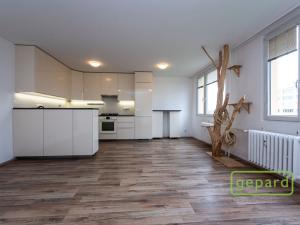 Pronájem bytu 3+kk, Praha - Strašnice, Rubensova, 65 m2