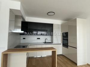 Pronájem bytu 3+kk, České Budějovice - České Budějovice 2, Branišovská, 80 m2