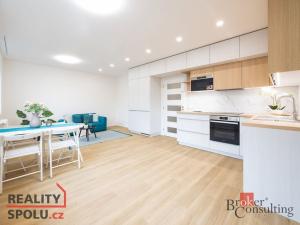Prodej bytu 2+kk, Praha - Žižkov, Loudova, 54 m2