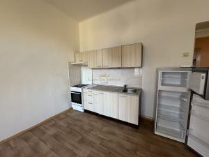 Pronájem činžovního domu, Praha - Vinohrady, Vozová, 60 m2