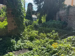 Prodej činžovního domu, Brno, Cejl, 300 m2