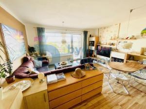 Pronájem bytu 1+kk, Olomouc - Nová Ulice, Horní lán, 41 m2