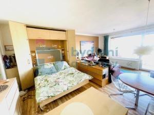 Pronájem bytu 1+kk, Olomouc - Nová Ulice, Horní lán, 41 m2