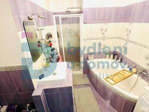 Pronájem bytu 1+kk, Olomouc - Nová Ulice, Horní lán, 41 m2