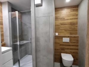 Pronájem bytu 1+kk, Vsetín, Dolní Jasenka, 27 m2