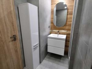 Pronájem bytu 1+kk, Vsetín, Dolní Jasenka, 27 m2